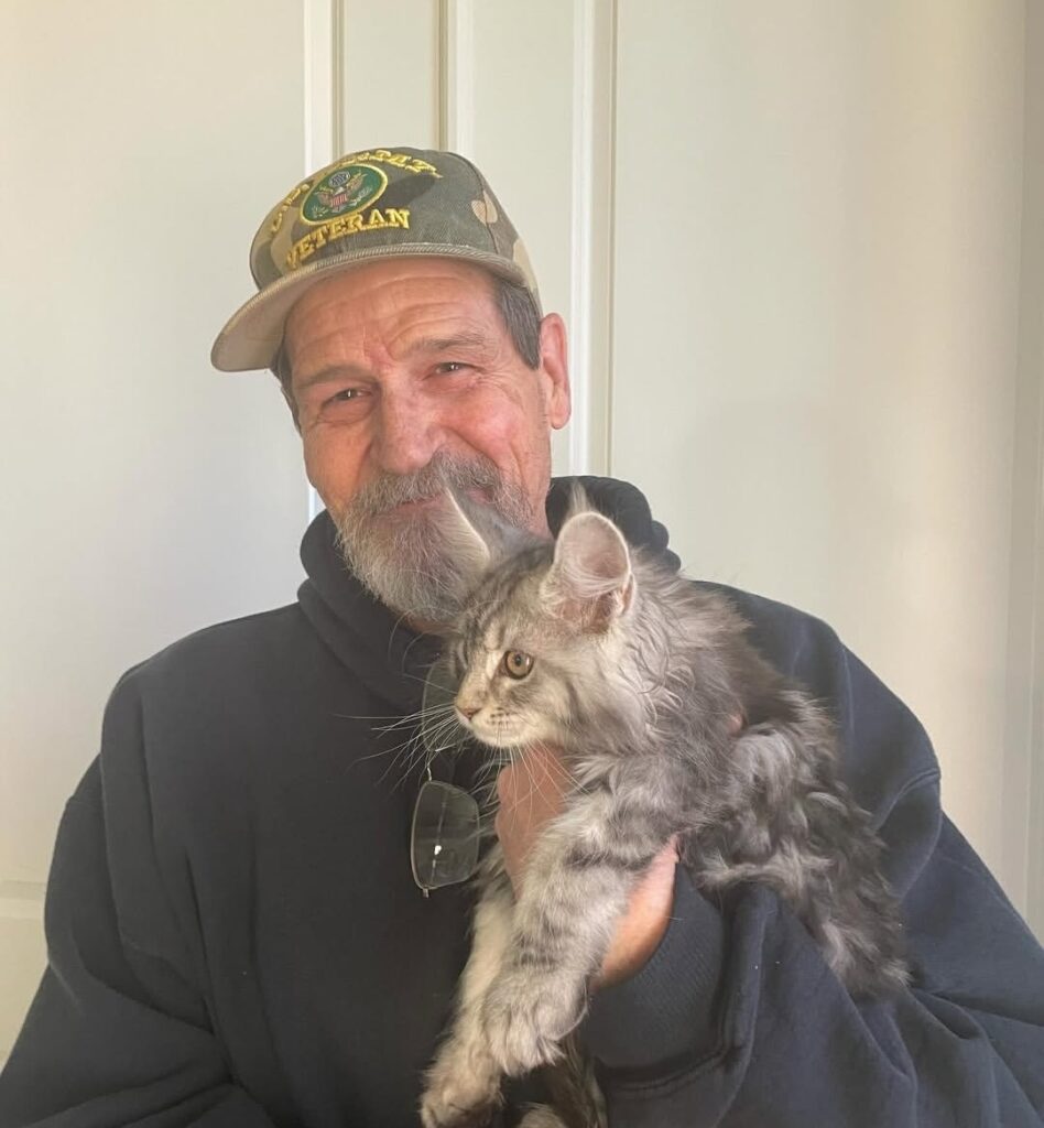 testimonial-maple-maincoons-cattery