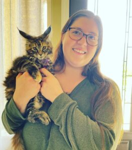 Black Maine Coon Kitten