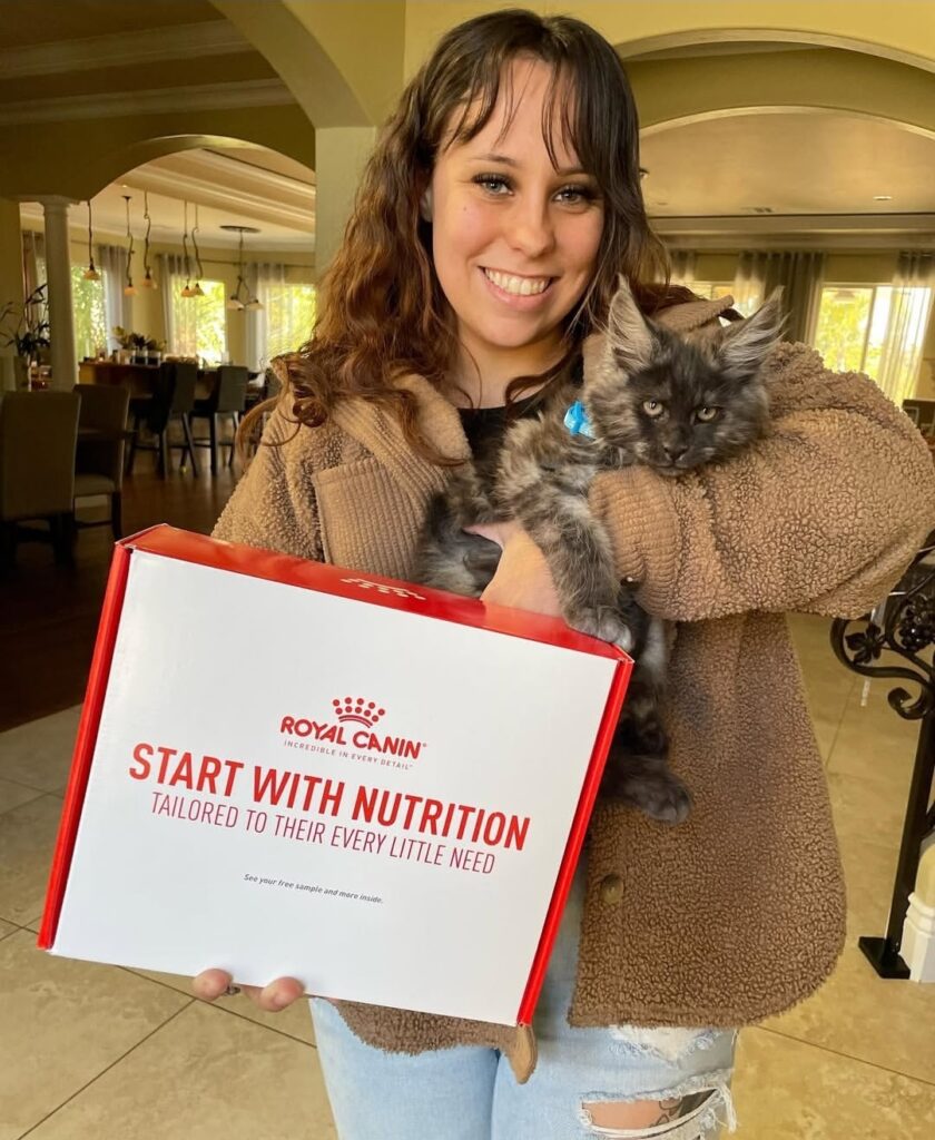 testimonial-maple-maincoons-cattery